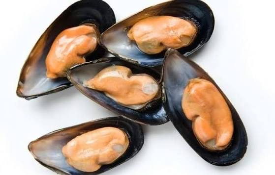 Moules demi-coquille